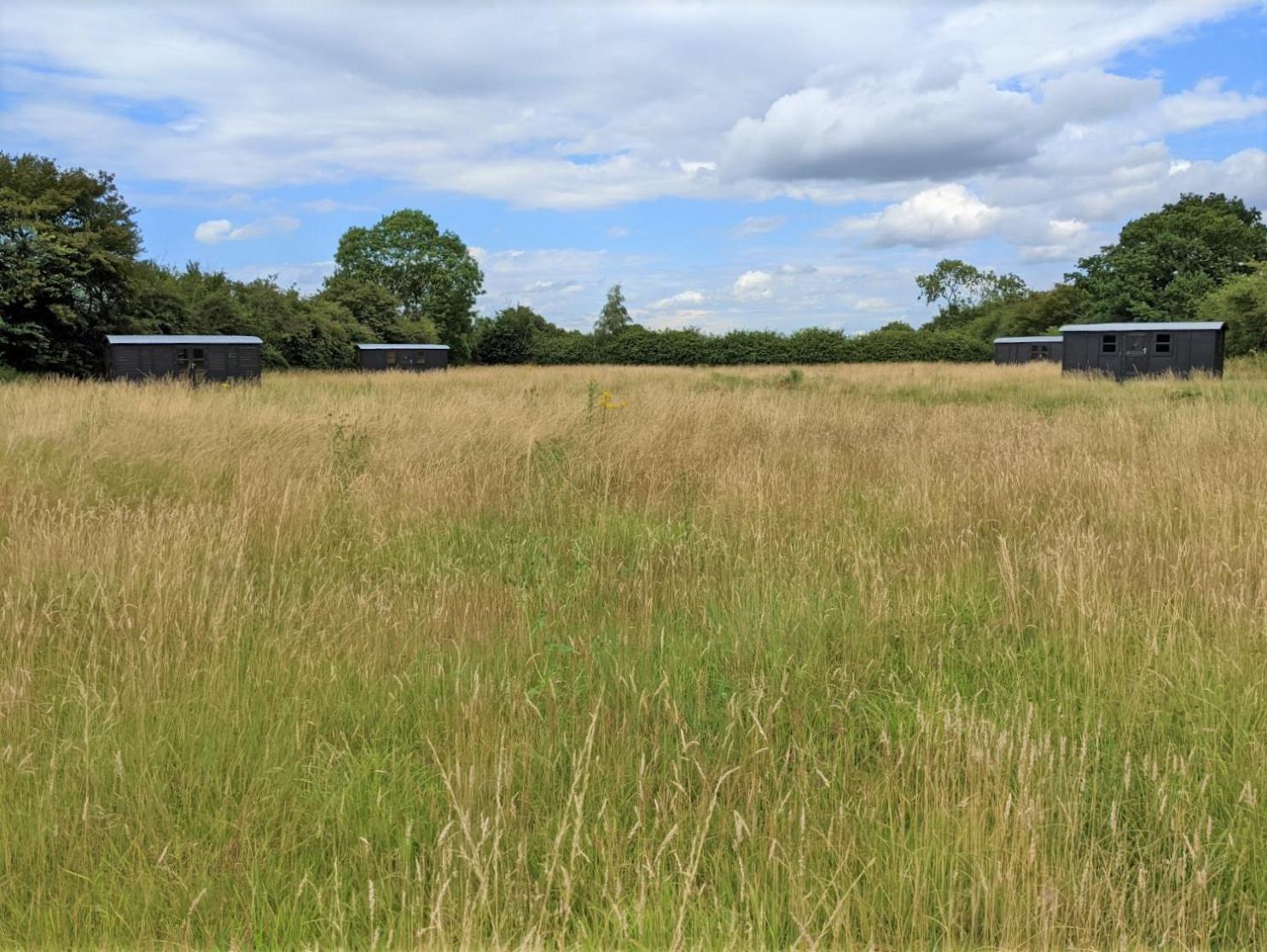 Blue Sky Huts Campsite