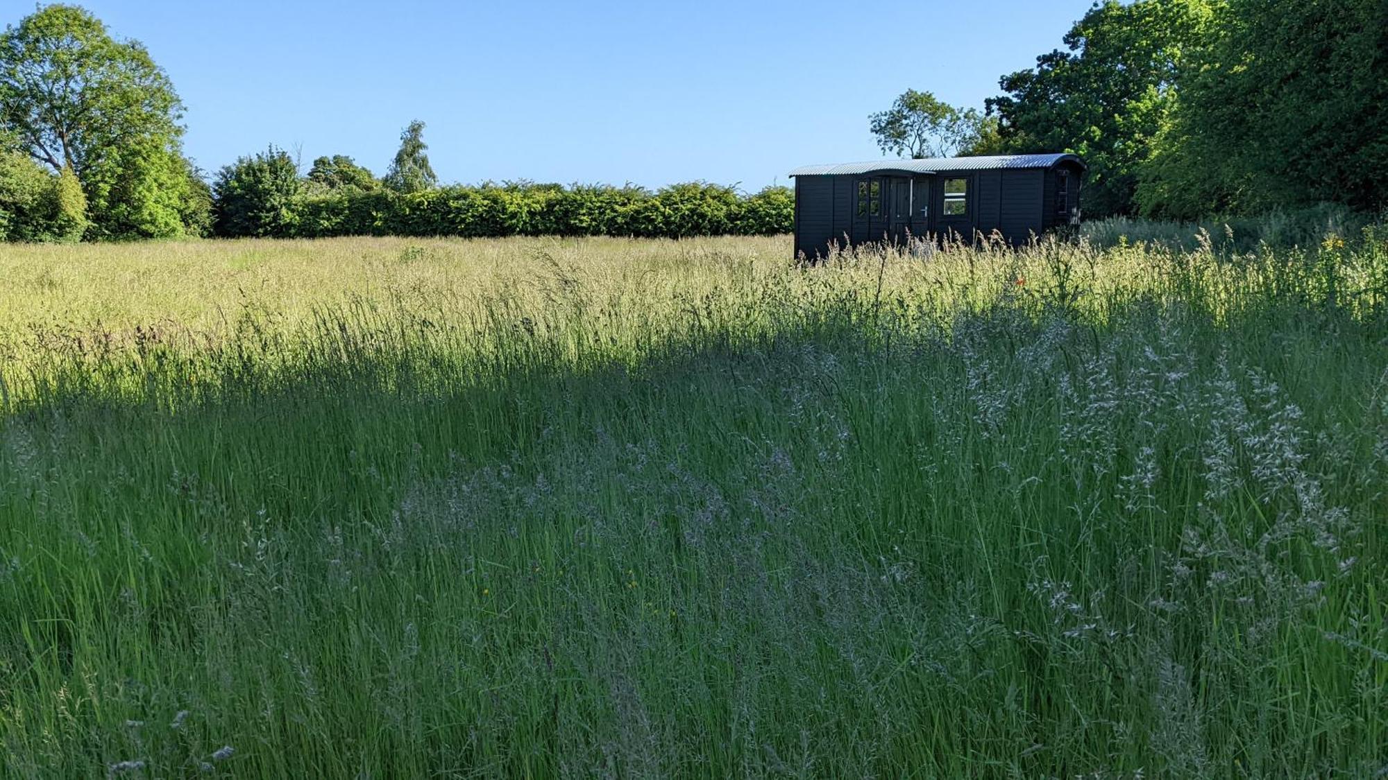 Campsite Blue Sky Huts Chediston