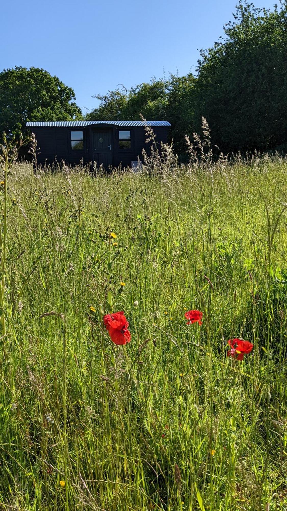 Blue Sky Huts Campsite Chediston